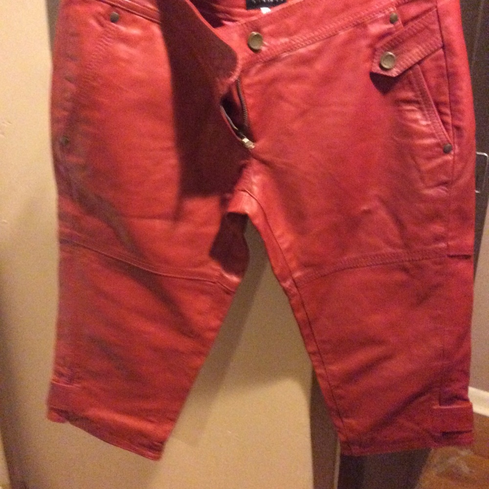 Cropped Pants - image 1